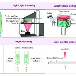 (PDF) 4D Printing Applications in the Development of Smart ...