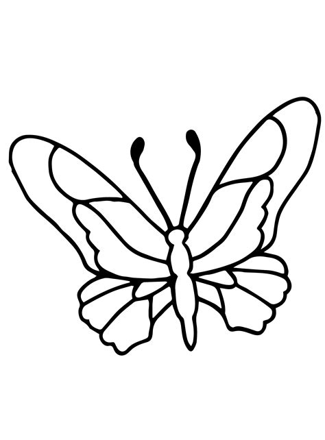 Blank Butterfly Coloring Pages Coloring Butterfly - buickcafe.com