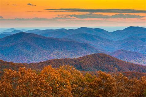 5 Oldest Forests in America - Oldest.org