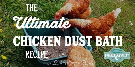 The Ultimate Chicken Dust Bath Recipe: 3 Powerful Additions your Chickens will Love