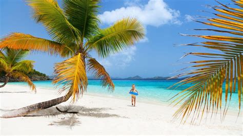 Lesser Antilles Vacations | Lesser antilles, Beach honeymoon, Beautiful beaches