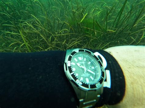[Citizen Eco-drive Titanium Diver] : r/Watches