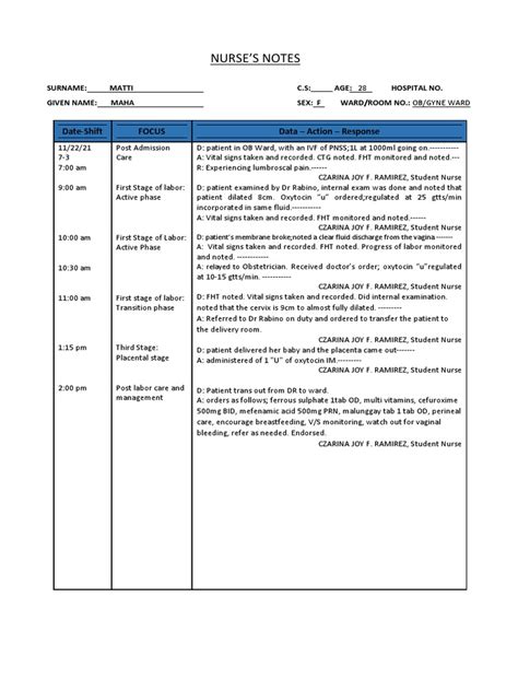 Fdar Chart | PDF | Childbirth | Health Care