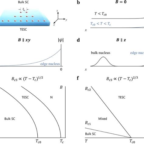 | Nucleation and phase diagrams in the 2D topological superconductor.... | Download Scientific ...