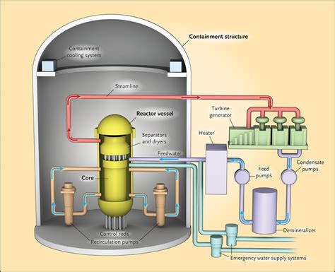 Short-Term and Long-Term Health Risks of Nuclear-Power-Plant Accidents | NEJM