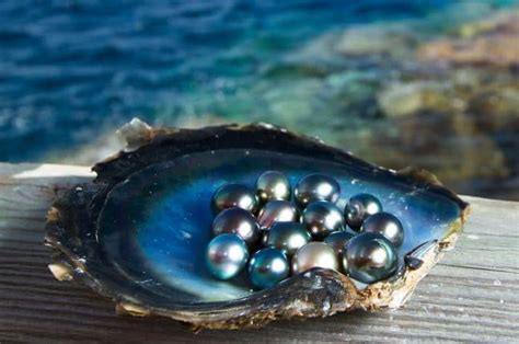 8 Rarest Types Of Pearls Found In The World - Rarest.org