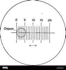 Sketch the millimeter-scale as it appears under the scanning objective magnification. (The ...