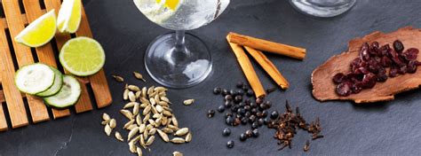 Homemade gin: A Gin Botanicals Guide – Still Spirits