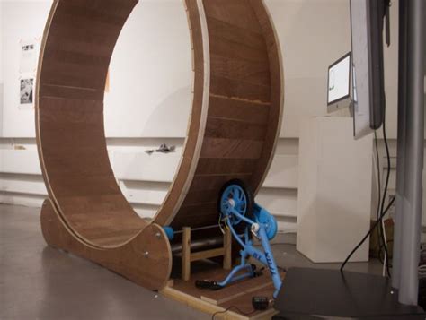 The Human-sized Hamster Wheel - Adriano Mescia | Hamster wheel, Cat exercise wheel diy, Diy home gym