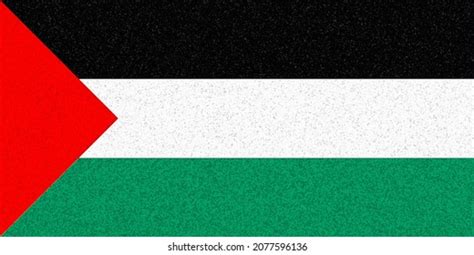 Palestinian National Authority Flag Ps Government Stock Illustration ...