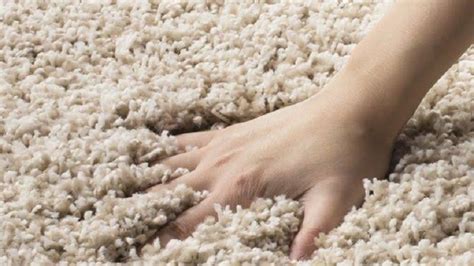 Frieze Carpet | Twist Carpeting in Atlanta