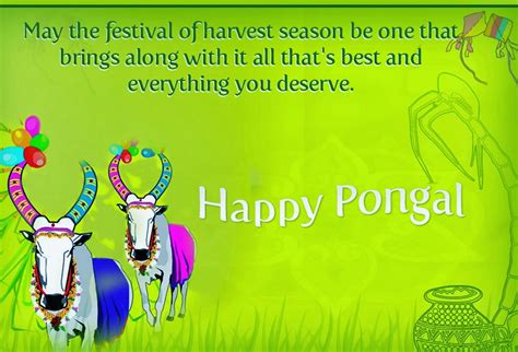 Happy Pongal Day Wishes,Greeting Cards,SMS Messages - Pongal Greetings Cards