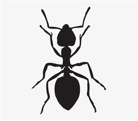 Free Image On Pixabay Ant Animal Insects - Ant Clipart Black And White Transparent PNG - 445x640 ...