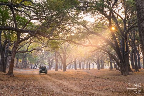 South Luangwa National Park