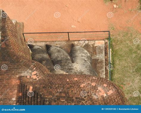 The Paw of the Lion on Mount Sigiriya in Sri Lanka Stock Photo - Image ...