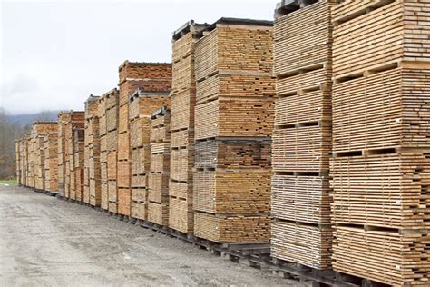 Frank E Wilson Lumber Company, Inc. | Lumber Store | Wood Supplier