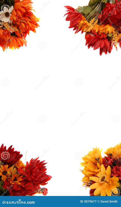 Border Of Autumn Flowers Royalty Free Stock Photography - Image: 3079677