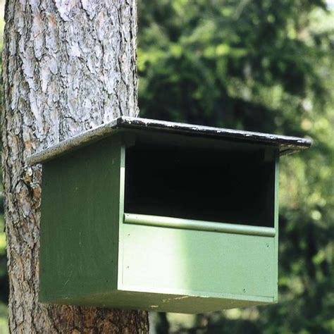 Kestrel Nest Box | CJ Wildlife