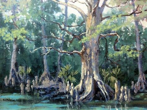 paintings of bald cypress trees | Florida Bald Cypress Tree | Art ...