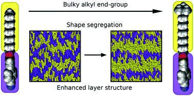 Shape segregation in molecular organisation: a combined X-ray scattering and molecular dynamics ...