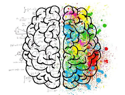 Split-Brain Syndrome : A tale of two - Med-zone TV