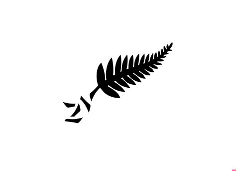 New Zealand football logo.