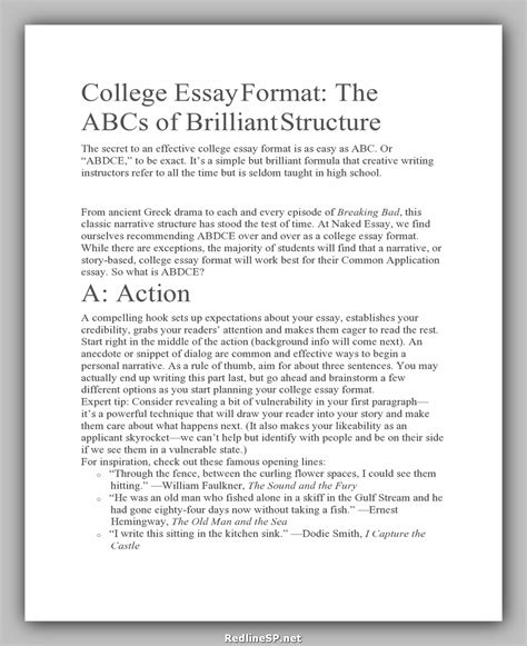 24 Greatest College Essay Examples - RedlineSP