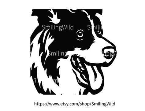 Border Collie Svg Dog Face Clip Art Illustration Border - Etsy