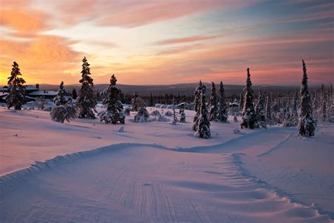 Die Polarlichter in Lappland sehen: Ein Wintertraum wird wahr!