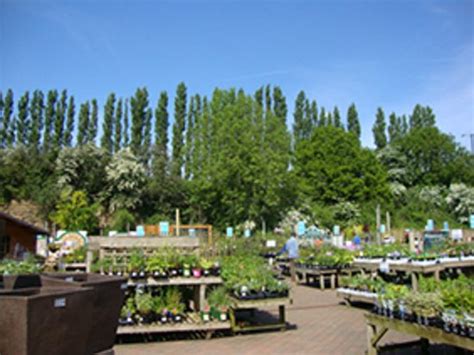 Trowell Garden Centre - 2020 All You Need to Know Before You Go (with Photos) - Trowell, England ...