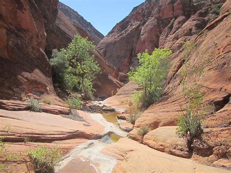 Red Cliffs Desert Reserve » Red Reef