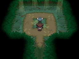 Pokemon Black 2 and White 2 :: Hidden Grottoes