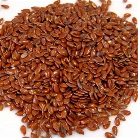 Linum Usitatissimum Seed at Rs 120/kilogram | Linseed in Nagpur | ID: 14018884233