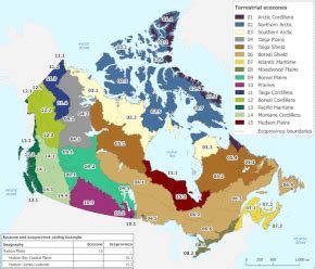 Wildlife of Canada - Wikipedia