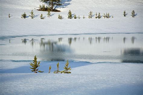 Yellowstone's Divide Lake and Reflections in Deep Winter Photograph by Bruce Gourley - Fine Art ...