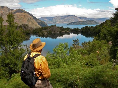 Fifty shades of green: Discover special Kiwi tourism businesses with conservation at the core ...