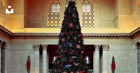 A large christmas tree in a church photo – Free Chicago Image on Unsplash