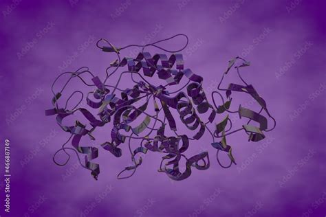 Crystal structure of human pancreatic alpha-amylase in complex with the ...