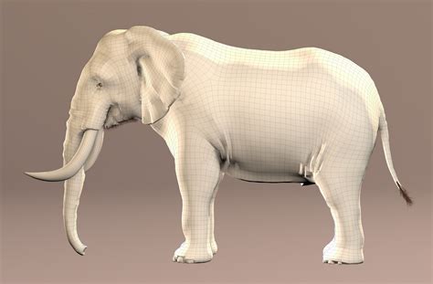 3D elephant realistic model - TurboSquid 1472574