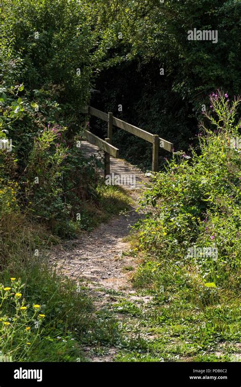 Walks in countryside Stock Photo - Alamy