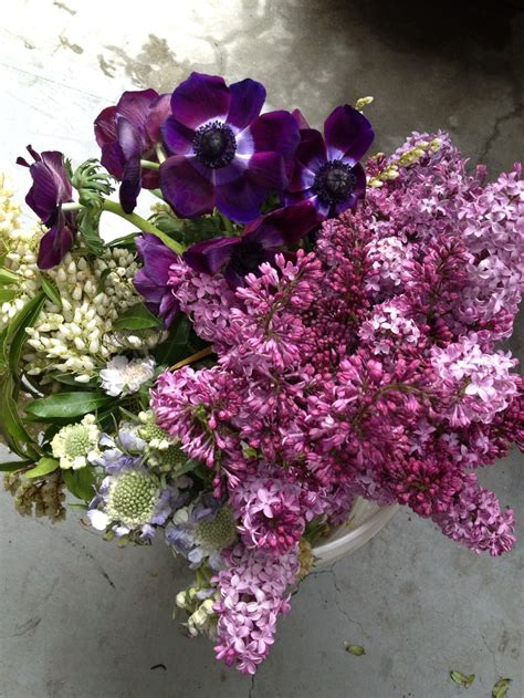 flower arrangements | milkweed and maple