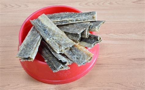 Best Fish Skin Treats for Dogs (Our Top 13 Picks) 2021