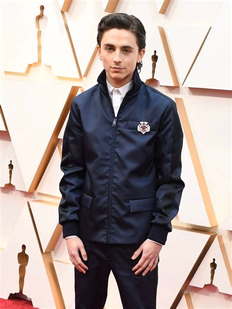 Timothée Chalamet Updates on Twitter | Oscars suits, Timothee chalamet ...