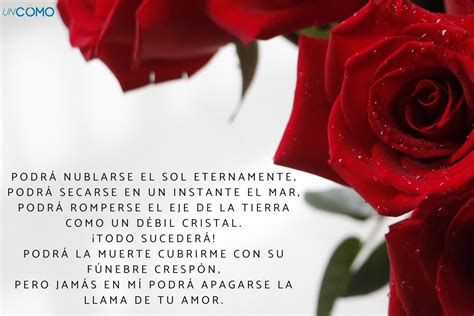 7 poemas para el Día de la Madre - ¡Descubre estas bonitas y sinceras ...