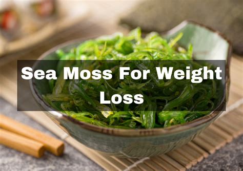 Sea Moss For Weight Loss