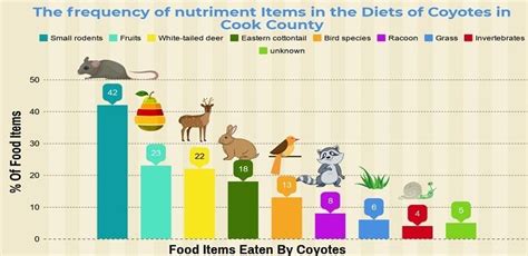 Do You Know About The Diet Of Coyotes....? | What do coyotes eat, Bird ...