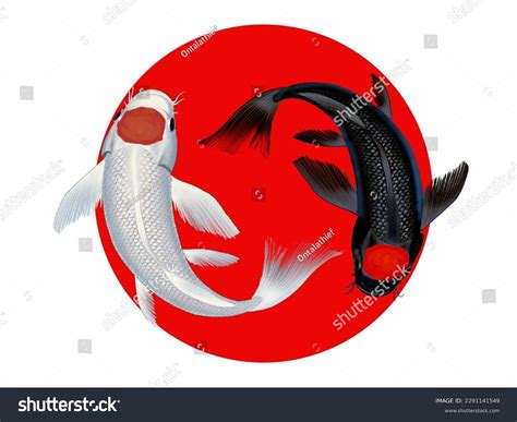 Koi Fish Yin Yang Photos, Images and Pictures