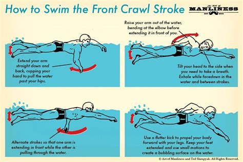 How to Swim the Front Crawl: Your 60-Second Guide | Different swimming strokes, Swimming strokes ...