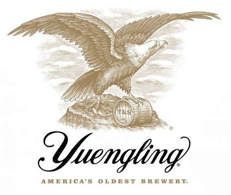 Yuengling Logo - LogoDix