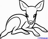 Cute Baby Animal Coloring Pages Dragoart  Coloring Home sketch template